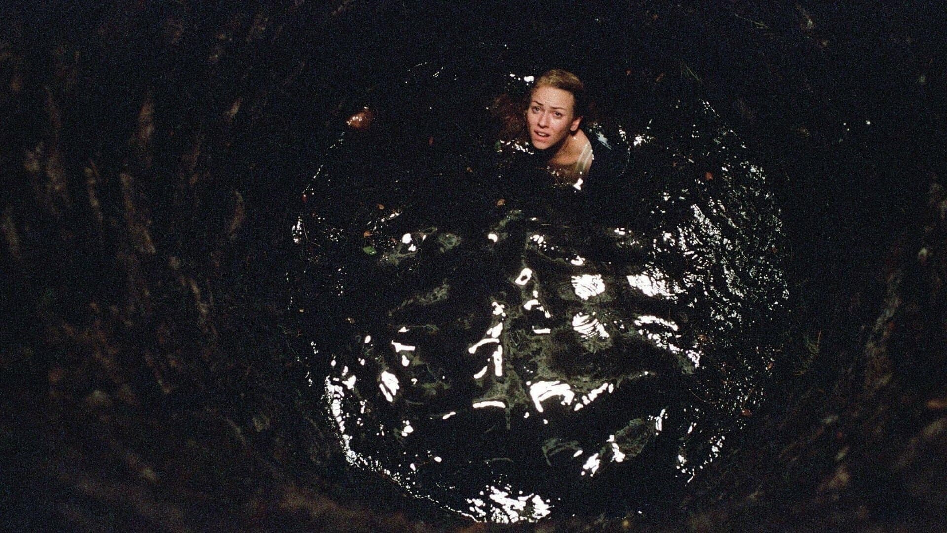 The Ring Two 2005 movie scene