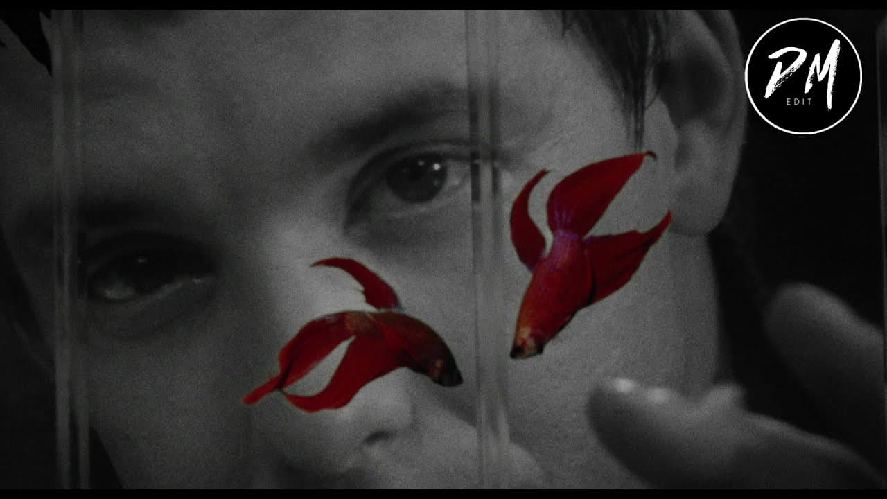 Rumble Fish Trailer